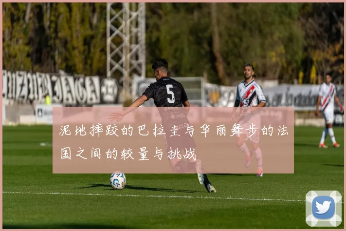 泥地摔跤的巴拉圭与华丽舞步的法国之间的较量与挑战